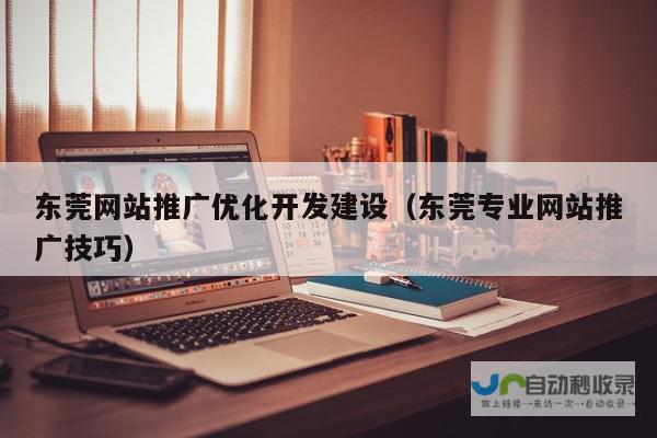 东莞网站优化SEO：提升网站排名，获得更多客户